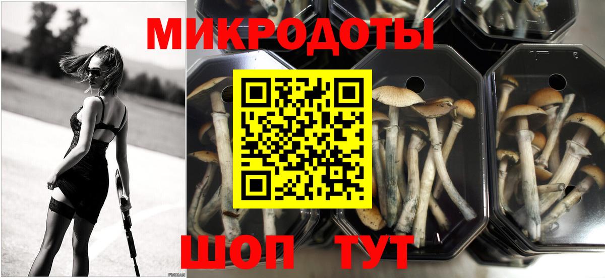 Галлюциногенные грибы мицелий Владивосток