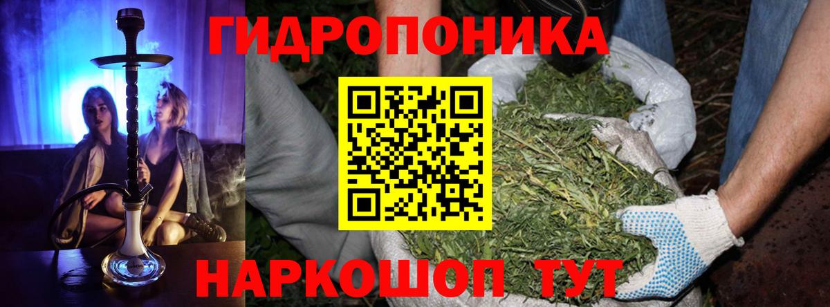 Канабис марихуана Владивосток